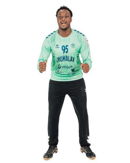 tremblayhandball.com