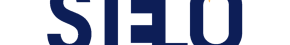 Logo Stelo Formation
